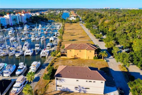 Land in Palm Coast, Florida № 1578819 - photo 2