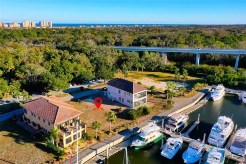 Land in Palm Coast, Florida № 1578819 - photo 4