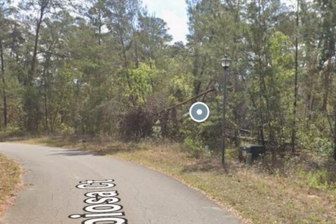 Land in Homosassa, Florida № 2159411 - photo 3