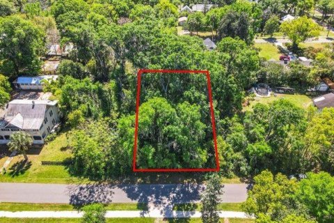 Land in Lake Helen, Florida № 1052946 - photo 10