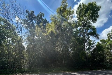 Land in Lake Helen, Florida № 1052946 - photo 1