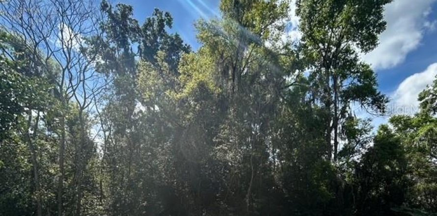 Land in Lake Helen, Florida № 1052946