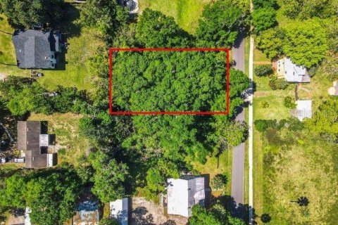 Land in Lake Helen, Florida № 1052946 - photo 9