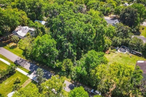 Land in Lake Helen, Florida № 1052946 - photo 4