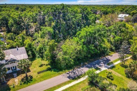 Land in Lake Helen, Florida № 1052946 - photo 6
