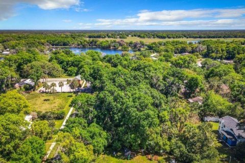 Land in Lake Helen, Florida № 1052946 - photo 3