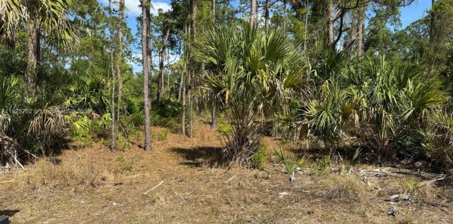 Terrain à Port Charlotte, Floride № 2077311