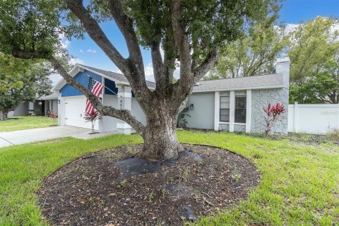 House in Port Richey, Florida 2 bedrooms, 98.85 sq.m. № 2396346 - photo 29