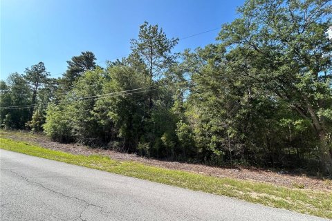 Land in Dunnellon, Florida № 2161728 - photo 2