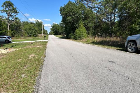 Land in Dunnellon, Florida № 2161728 - photo 3