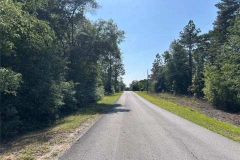 Land in Dunnellon, Florida № 2161728