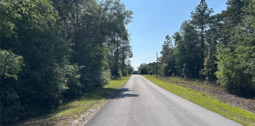 Land in Dunnellon, Florida № 2161728