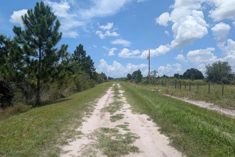 Land in Okeechobee, Florida № 2166613 - photo 19
