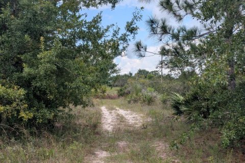 Land in Okeechobee, Florida № 2166613 - photo 25