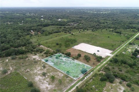 Land in Okeechobee, Florida № 2166613 - photo 3