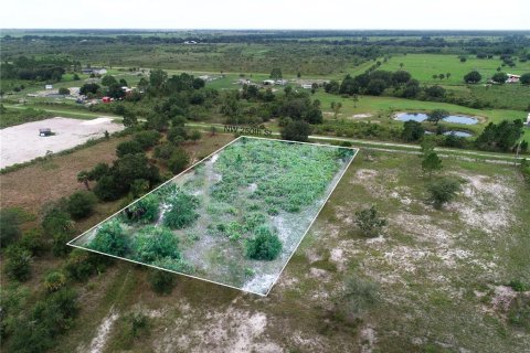 Land in Okeechobee, Florida № 2166613 - photo 9