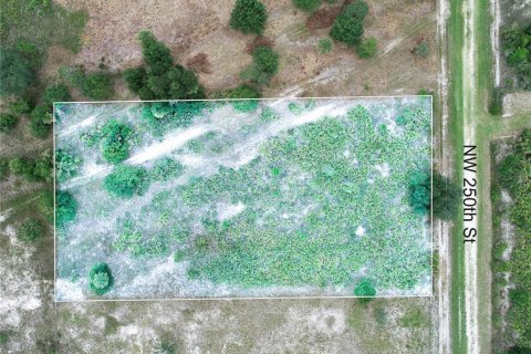 Land in Okeechobee, Florida № 2166613 - photo 18