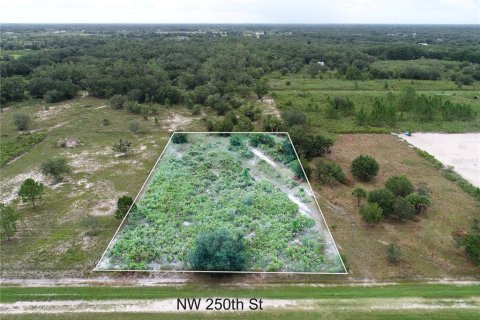 Land in Okeechobee, Florida № 2166613 - photo 2