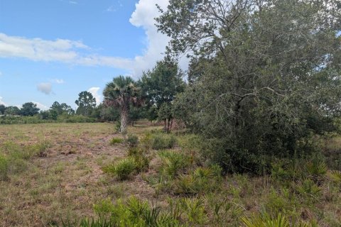 Land in Okeechobee, Florida № 2166613 - photo 24