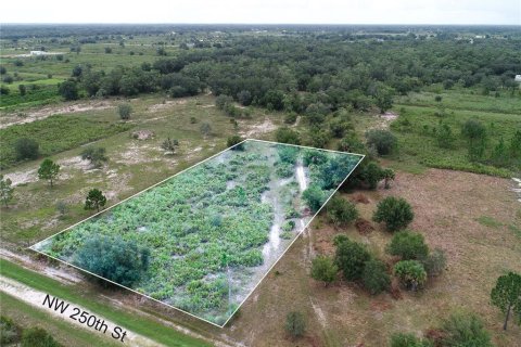 Land in Okeechobee, Florida № 2166613 - photo 5