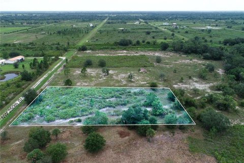 Land in Okeechobee, Florida № 2166613 - photo 6