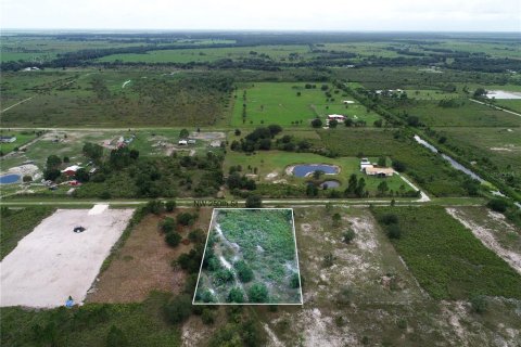 Land in Okeechobee, Florida № 2166613