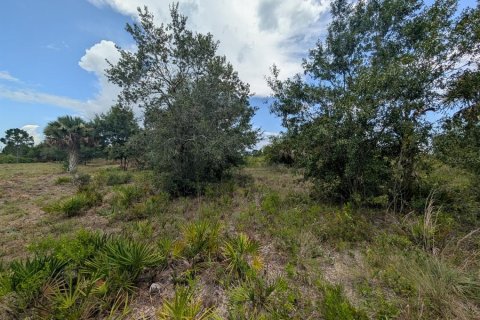 Land in Okeechobee, Florida № 2166613 - photo 23