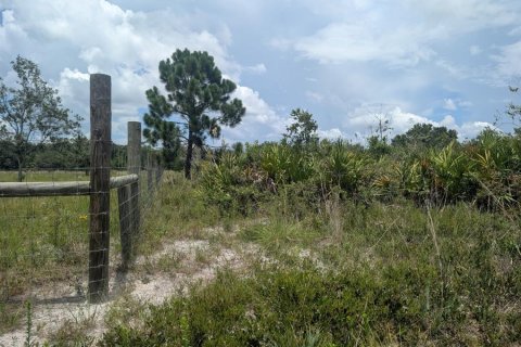 Land in Okeechobee, Florida № 2166613 - photo 22