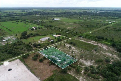Land in Okeechobee, Florida № 2166613 - photo 13