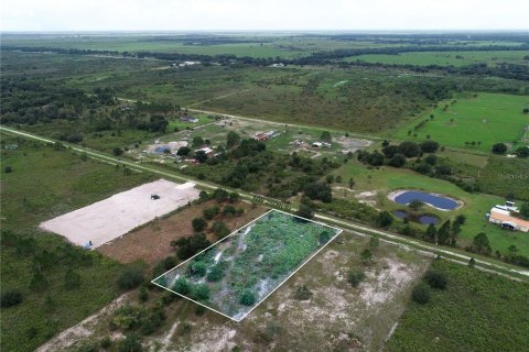 Land in Okeechobee, Florida № 2166613 - photo 14