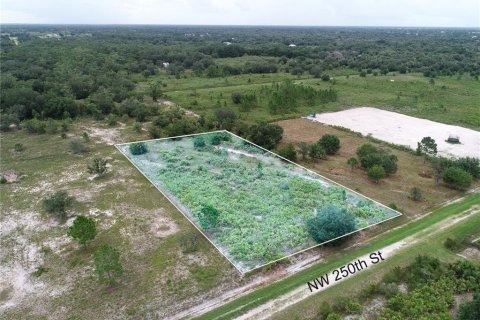 Land in Okeechobee, Florida № 2166613 - photo 4