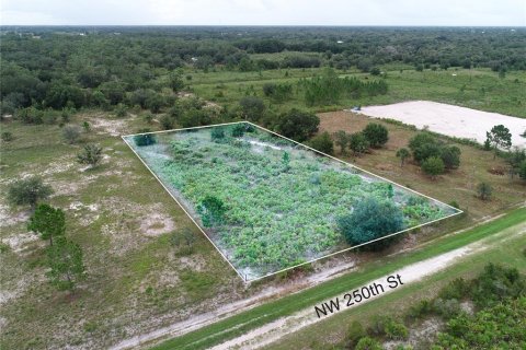 Land in Okeechobee, Florida № 2166613 - photo 17