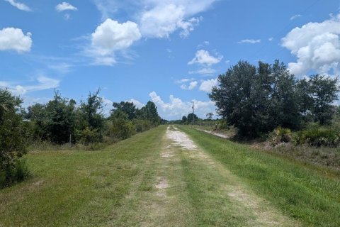 Land in Okeechobee, Florida № 2166613 - photo 20