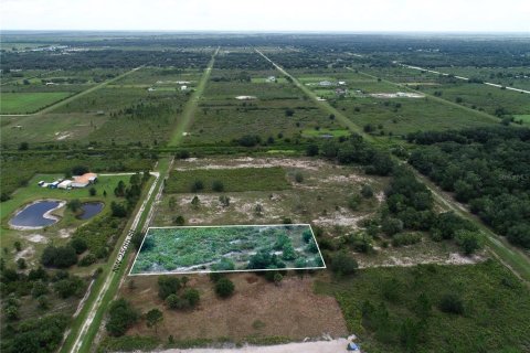 Land in Okeechobee, Florida № 2166613 - photo 12