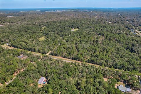 Land in Bronson, Florida № 1852640 - photo 4