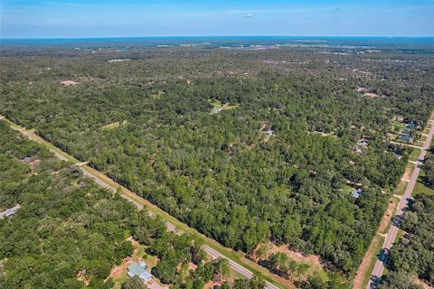 Land in Bronson, Florida № 1852640 - photo 8