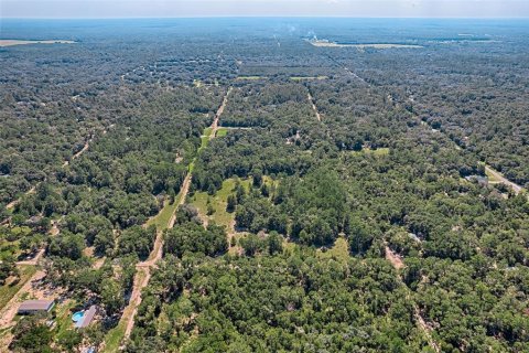 Land in Bronson, Florida № 1852640 - photo 7