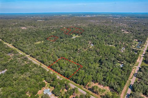Land in Bronson, Florida № 1852640 - photo 2