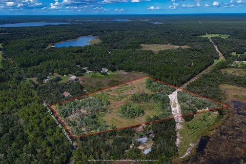 Land in Ocklawaha, Florida № 2364879