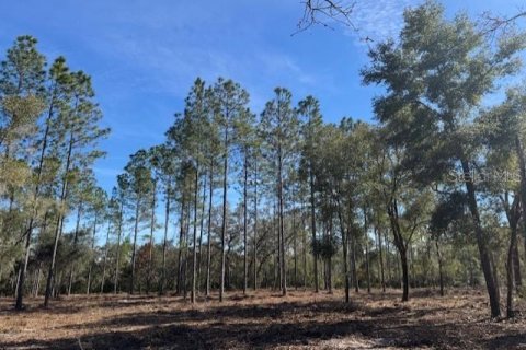 Land in Fort MC Coy, Florida № 1406428 - photo 11