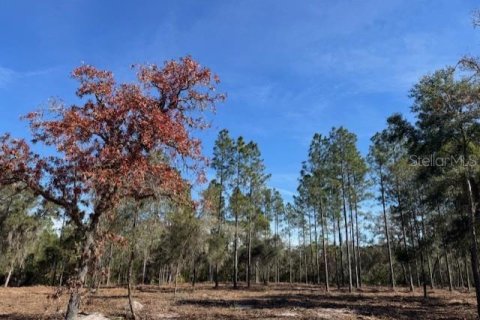 Land in Fort MC Coy, Florida № 1406428 - photo 3
