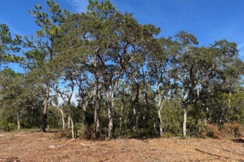 Land in Fort MC Coy, Florida № 1406428 - photo 18