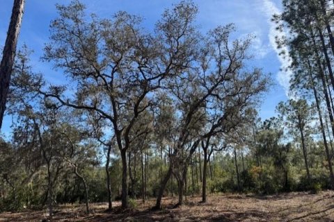 Land in Fort MC Coy, Florida № 1406428 - photo 2