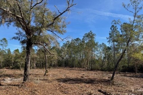 Land in Fort MC Coy, Florida № 1406428 - photo 16