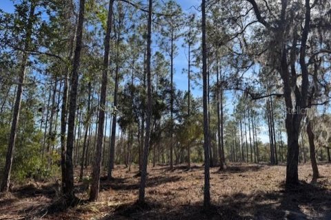 Land in Fort MC Coy, Florida № 1406428 - photo 17