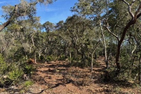 Land in Fort MC Coy, Florida № 1406428 - photo 9
