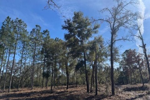 Land in Fort MC Coy, Florida № 1406428 - photo 12