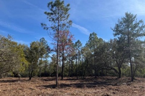 Land in Fort MC Coy, Florida № 1406428 - photo 15