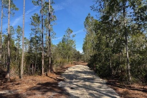 Land in Fort MC Coy, Florida № 1406428 - photo 8