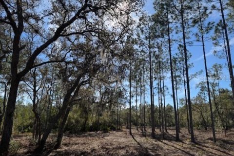 Land in Fort MC Coy, Florida № 1406428 - photo 5